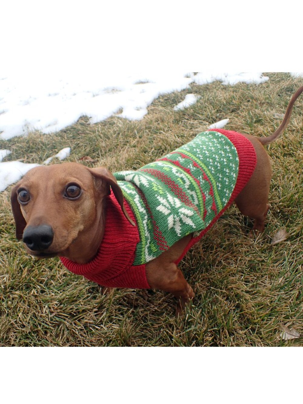 NWT size SMALL dog NEW sweater WORLD MARKET knit pet fair isle green red holiday